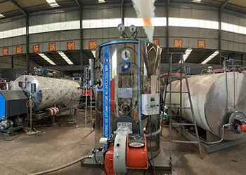 1 t/h vertical fire-tube boiler powers mushroom farm