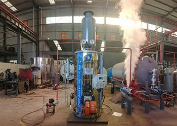 TGBOILER 300kg/h vertical natural gas steam generator for dairy plant in Uzbekistan