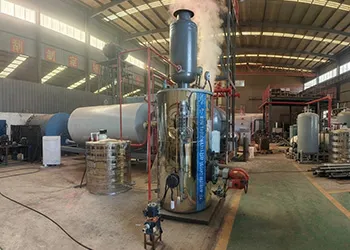 TGBOILER 300kg/h vertical natural gas steam generator for dairy plant in Uzbekistan