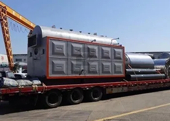 DZH Series 2 Ton Biomass Steam Boiler to Be Exported to Mongolia