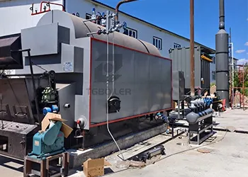 2 ton biomass steam boiler for a household chemicals plant in tanzania
