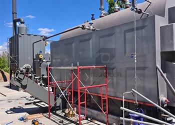 2 ton biomass steam boiler for a household chemicals plant in tanzania