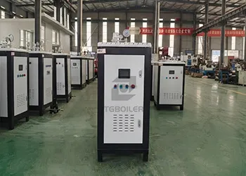TGBOILER vertical electric steam generator