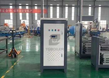 TGBOILER vertical electric steam generator