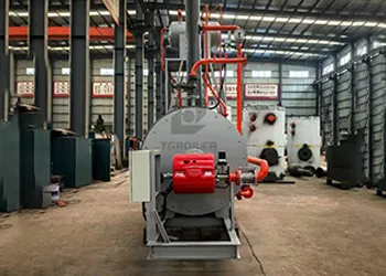 TGBOILER 1000 kw horizontal thermal oil boiler
