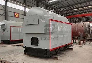 The Application of Steam Boilers in the Rice Processing Industry