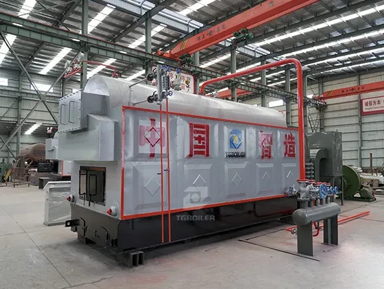 DZH Biomass Steam Boiler