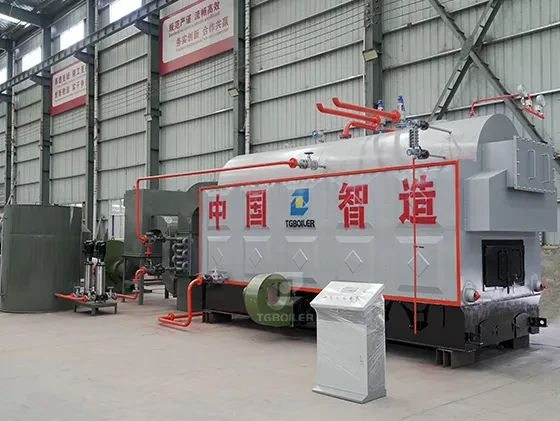 DZH Biomass Steam Boiler