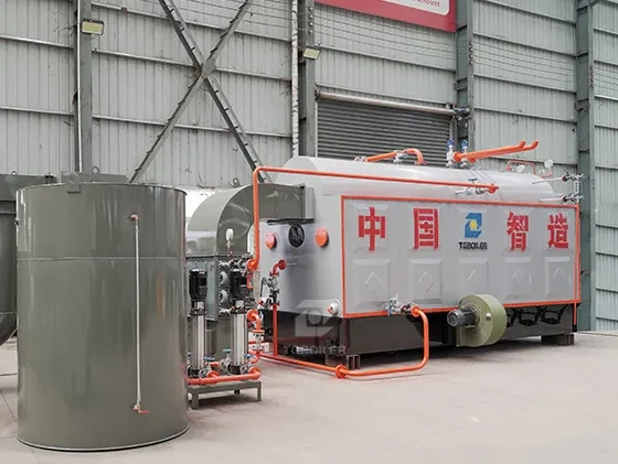 DZH Biomass Steam Boiler