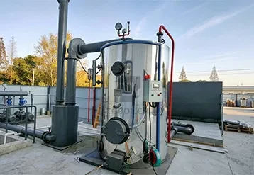 1 T/H Vertical Biomass Boiler Is in Use at a Furniture Factory in Kazakhstan