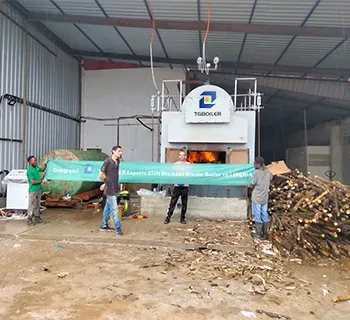 TGBOILER DZH biomass boiler case picture.webp