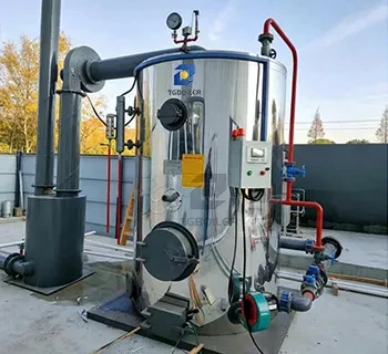 TGBOILER LHG vertical biomass boiler (2).webp