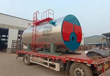 2 th Gas-Fired Steam Boiler Being Shipped to Belarus (1).webp