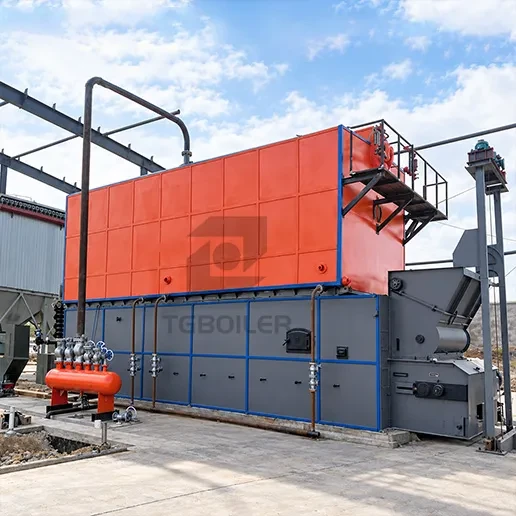 Types of Industrial Biomass Steam Boilers A Complete Guide by TGBOILER (1).webp