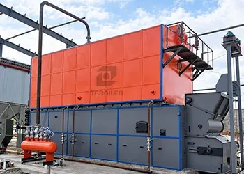 Types of Industrial Biomass Steam Boilers: A Complete Guide by TGBOILER