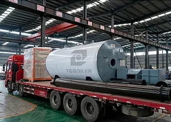 TGBOILER Supplies 1000kW Gas Fired Thermal Oil Boiler for Food Processing Plant in Bangladesh (2).webp