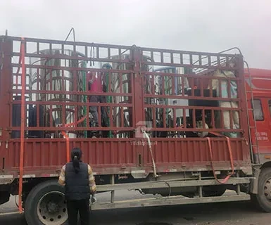vertical biomass hot water boiler (1).webp