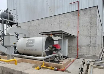 1,000 kW Gas-Fired Thermal Oil Boiler for a Food Processing Plant Project in the Philippines (1).webp