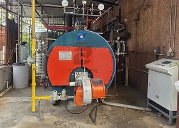 TGBOILER 2 TPH Natural Gas Steam Boiler Successfully Delivered to Jamaica (1).webp