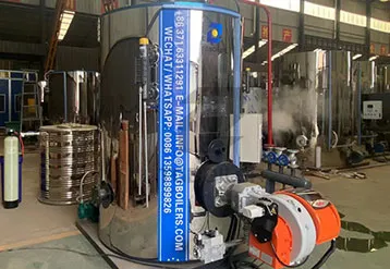 1 ton Vertical Gas Fired Steam Boiler Powers Brazilian Food Factory
