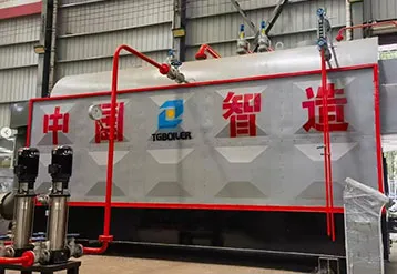 DZH Biomass Steam Boiler Powers Indonesian Rubber Factory