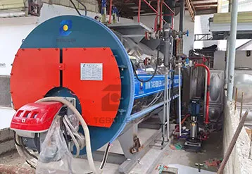 TGBOILER 2Ton Gas-Fired Steam Boiler Used In Philippine Agricultural Processing Plant