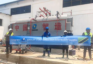 Congrats! TGBoiler 3Ton/h Biomass Steam Boiler Works In Tanzania