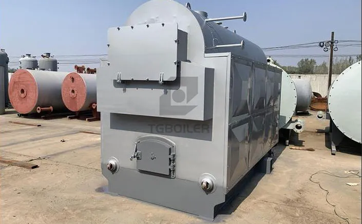 DZH2-1.25-SCI, 2-Ton Coal/Biomass Steam Boiler Successfully Completed