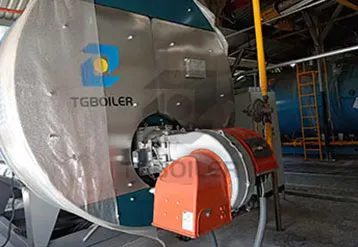 TGBOILER 8 t/h WNS Gas Oil Fired Steam Boiler Had Installed In Mexico