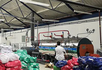 TGBOILER 1TON/H Skid-Mounted Type Gas Boiler WNS1-1.25-Y(Q) Working in UK for Washing Plant