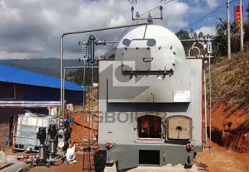 The new installed DZH2-1.25-T, 2tons/h coal biomass fired steam boiler in Philippines