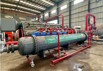 New Type Thermal Oil Heating & Gas Heating Steam Boiler YY(Q) WNS6-1.25-Y(Q) Was Successfully Completed