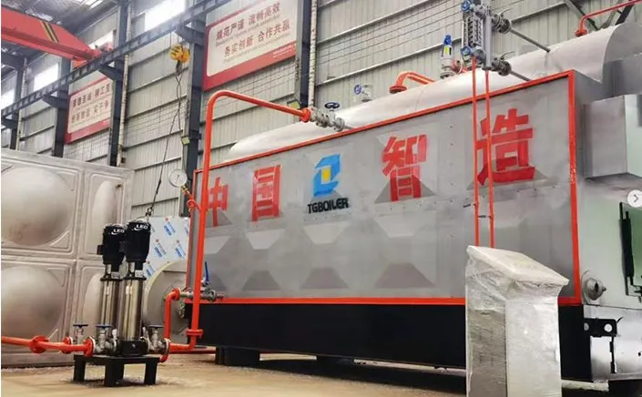 Indonesian Client Ordered DZH Coal Biomass Steam Boiler Successfully Completed