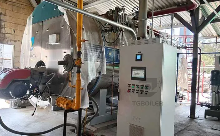 TGBOILER Gas Steam Boiler Successfully Installed In Mexico
