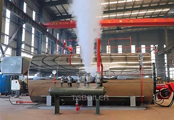 Steam Boiler Daily Maintenance Task Guide