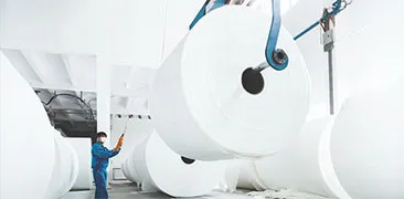 Paper industry