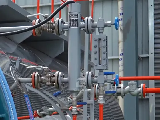 Skid-Mounted Type WNS Series Steam Boiler
