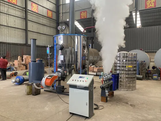 LHSG Multi-Fuel Steam Boiler