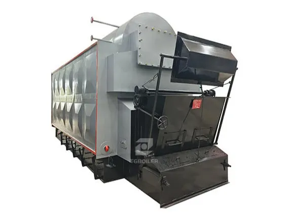 DZL Biomass Steam Boiler