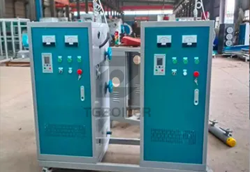 Are Electric Steam Boilers Truly Eco-Friendly?