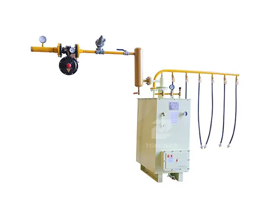 Liquid Gas Vaporizer