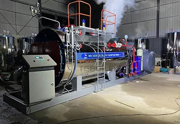 3 Ton Skid Mounted Gas Fired Steam Boiler for Tire Manufacturing Plant