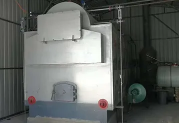 3Ton Biomass-Fired Steam Boiler Project in the Philippines