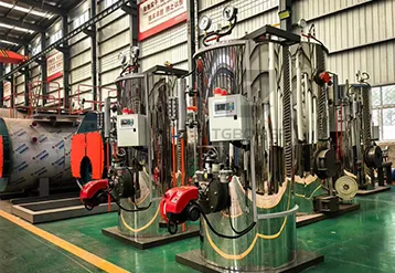 Two Sets 500kg/h Vertical Natural Gas Steam Boilers Applied in Beverage Plant
