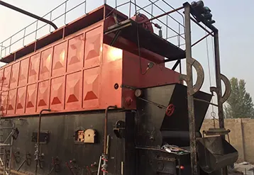 10 Ton Double-Drum Biomass Fired Steam Boiler for Paper Mill
