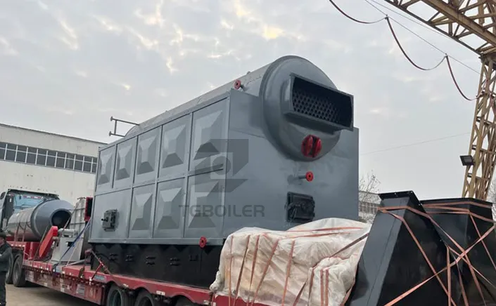 DZH Series 5t/h Biomass Steam Boiler Shipped to Togo