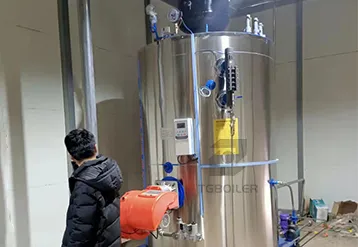 2t/h Natural Gas Steam Boiler for Beverage Industry