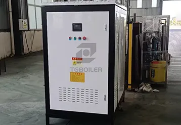 200kg/H Electric Steam Boiler Commissioned for Philippine Food Industry