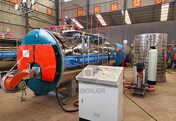 2 Ton Automatic Gas Fired Steam Boiler for Beverage Industry in HK