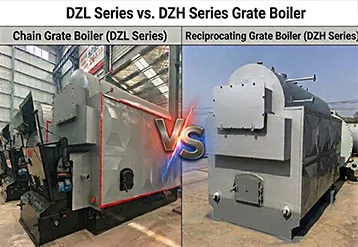Chain Grate vs. Reciprocating Grate: How to Choose the Right Boiler for Your Plant?